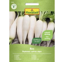 Semená reďkovky FloraSelf Rex, obsah približne 120 rastlín