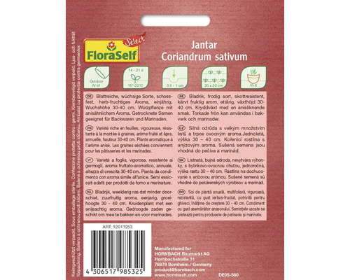 Balenie semien koriandra Jantar na vonkajšie pestovanie