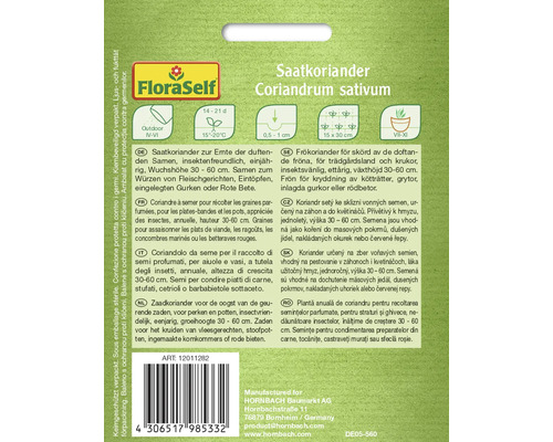 Balenie semien koriandra