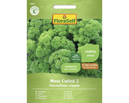 Petržlen kučeravý Moss Curled 2 FloraSelf