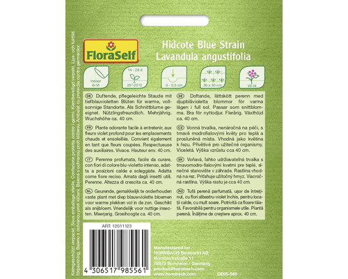 Balenie semien FloraSelf Hidcote Blue Strain Lavandula angustifolia