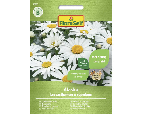 Margarétka Alaska FloraSelf