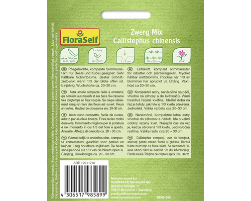 Zwerg Mix Callistephus chinensis semená letných aster pre záhony a nádoby