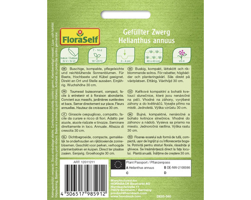 Balenie semien Helianthus annuus plnokvetá zakrslá