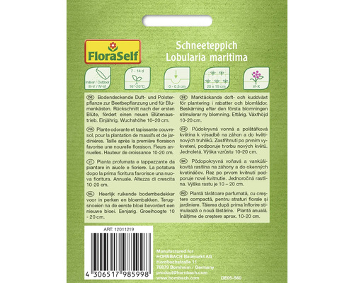 Balenie Lobulária prímorská Lobularia maritima