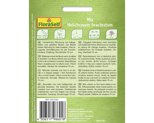 Balenie semien kvetov FloraSelf Helichrysum Bracteatum