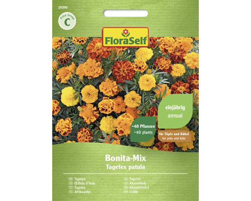 Aksamietnica Bonita mix FloraSelf