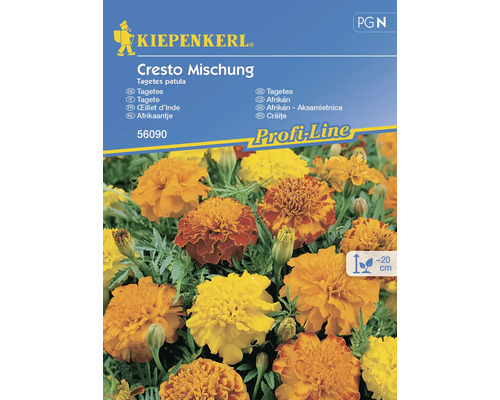 Aksamietnica veľkokvetá Cresto mix Kiepenkerl