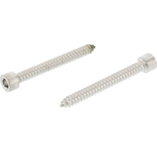 Dve skrutky do drevotriesky s vnútorným šesťhranom