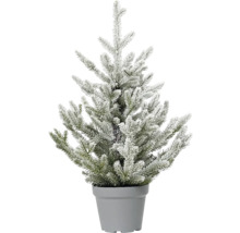 Umelý zasnežený vianočný stromček v kvetináči