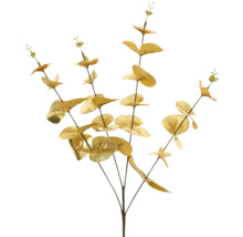 Dekoratívna eukalyptová vetva