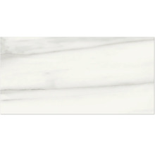 Dlažba Obklad imitácia mramoru LUCCA Bianco sivá čierna mat 30x60 cm