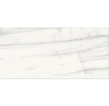Dlažba Obklad imitácia mramoru LUCCA Bianco sivá čierna mat 60x120 cm