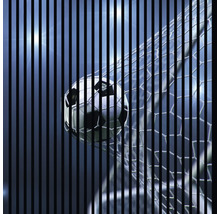 Futbalová lopta v sieti