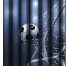 Futbalová lopta v sieti