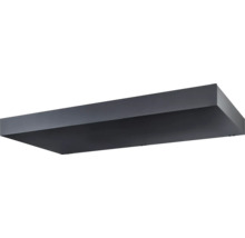 Digestor