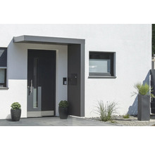 Vstupný priestor domu s vchodovými dverami, oknom a výsadbou.