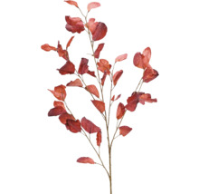 Dekoratívna vetva s listami