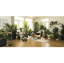 Svetlá izba s izbovými rastlinami a žena oddychujúca v kresle