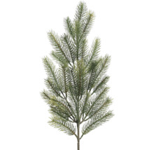 Dekoratívna vetva jedle na vianočnú dekoráciu