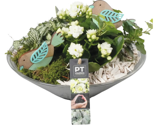 Kvetináč s Kalanchoe, machom a drevenou dekoráciou