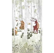 Ilustrácia lesa s rôznymi zvieratami, ako je medveď, jeleň a líška