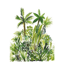 Ilustrácia tropických rastlín s palmami