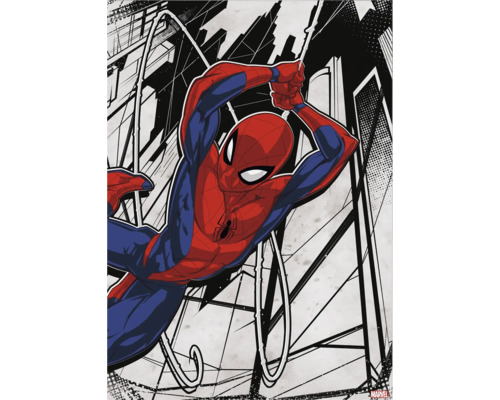 Obraz na plátne Spider-Man in Action 70x50 cm