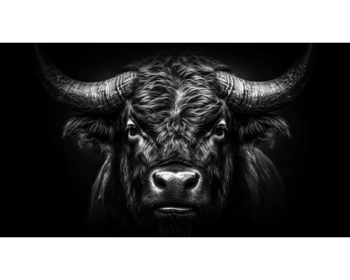 Obraz na plátne Portrait of a Bull 180x100 cm Čiernobiele zobrazenie býka s rohmi