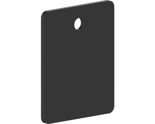 REIKA montážna doštička Ovaro pre magnetické príslušenstvo 40 x 50 mm matne čierna Obdĺžniková doska z akrylového skla s otvorom