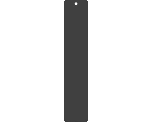 REIKA montážna doštička Ovaro pre magnetické príslušenstvo 250 x 50 mm matne čierna Štítok s otvorom na zavesenie