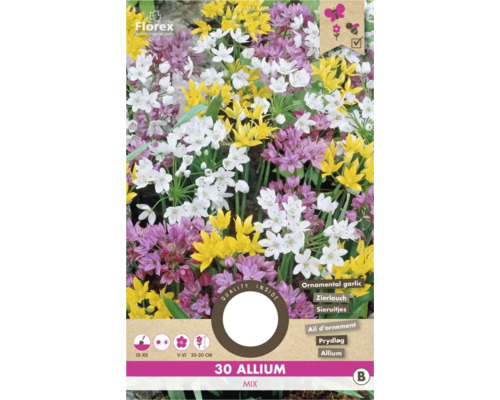Okrasný cesnak 'Allium mix' 30 ks