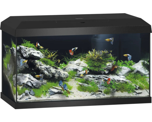 Akvarijný set JUWEL Primo 60 vr. LED osvetlenie ohrievača a filtra 61 x 31 x 36,5 cm objem 57 l