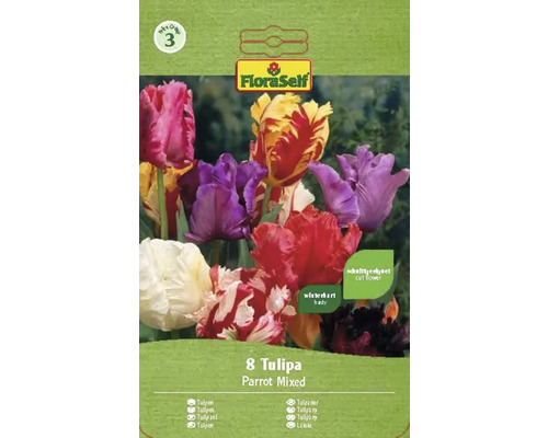 Tulipány FloraSelf 'Mix papagájovitých tulipánov' 8 ks