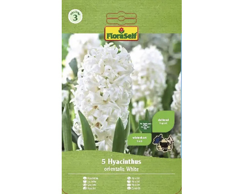 Hyacinty FloraSelf 'Orientalis' biele 15/16 5 ks