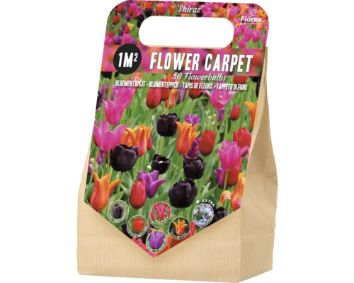 Cibuľoviny mix 1 m² 'Triumph red, Mariette, Queen of Night, Triump Purple, Ballerina' 50 ks Cibuľoviny mix 1 m² 'Triumph red, Mariette, Queen of Night, Triump Purple, Ballerina' 50 ks