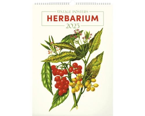 Nástenný kalendár Vintage Posters Herbarium 2025