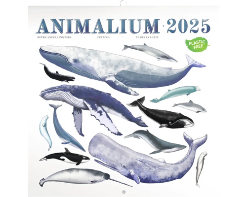 Poznámkový kalendár Animalium 2025