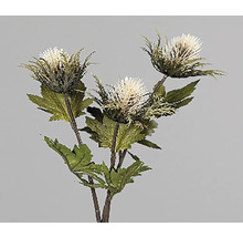 Umelý bodliak s kvetmi a listami