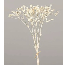 Sušená kytica nevädze