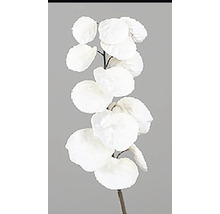 Dekoratívna vetva s bielymi listami