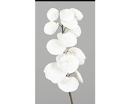 Eukalyptová vetvička textilná 80 cm biela Dekoratívna vetva s bielymi listami