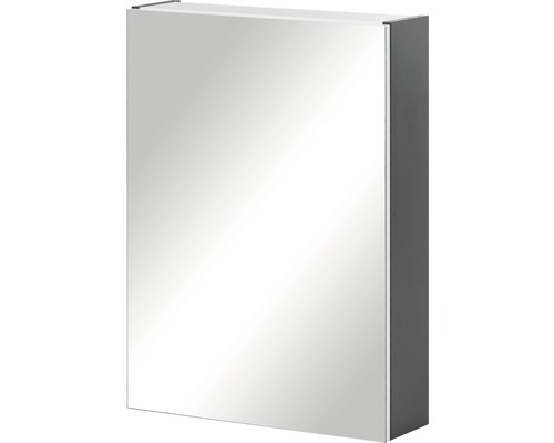 Zrkadlová skrinka Möbelpartner Basic 50 x 15,8 x 70 cm antracit
