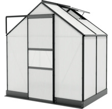 Skleník Vitavia Apollo 2500 polykarbonát 4 mm 195x137 cm čierny vr. základového rámu