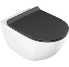 Závesné WC s WC sedadlom