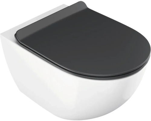 Závesné WC s WC sedadlom