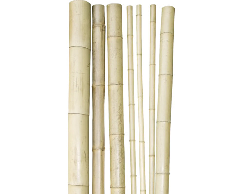 Rôzne bambusové tyče rôznej hrúbky