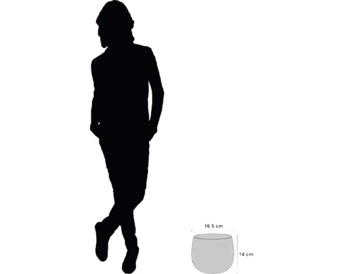 Rozmery kvetináča: priemer 16,5 cm, výška 14 cm