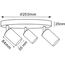 Technický nákres stropného svietidla s tromi reflektormi a rozmermi 250 mm priemer, 25 mm výška, 84 mm dĺžka a 55 mm šírka.