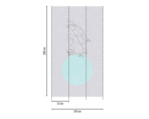 Foto tapeta s motívom skateboardistu, 280 x 159 cm